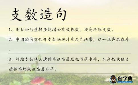 支數(shù)造句