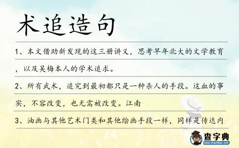 術(shù)追造句