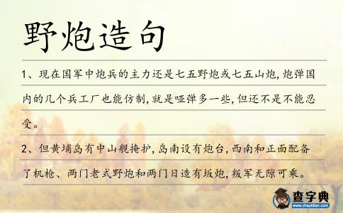 野炮造句