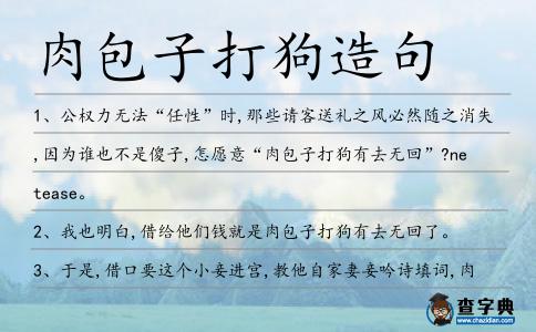 肉包子打狗造句