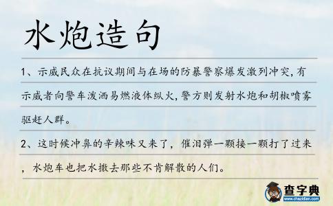 水炮造句