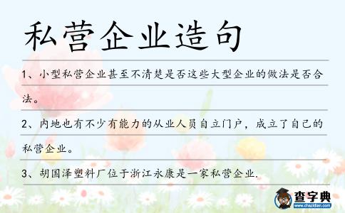 私營(yíng)企業(yè)造句