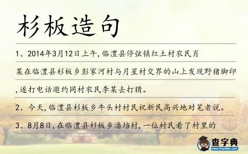 杉板造句