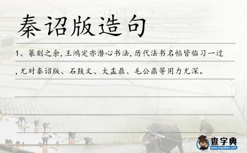 秦詔版造句