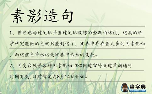 素影造句