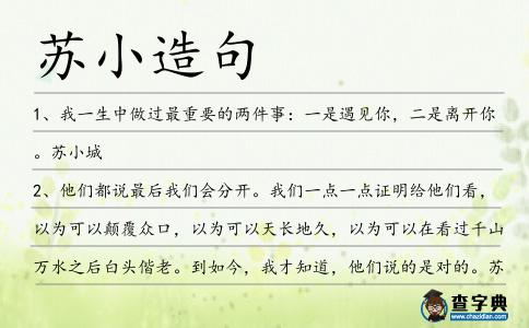 蘇小造句