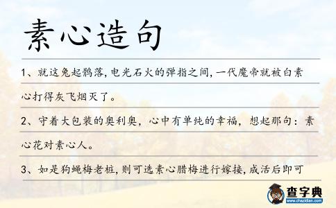 素心造句