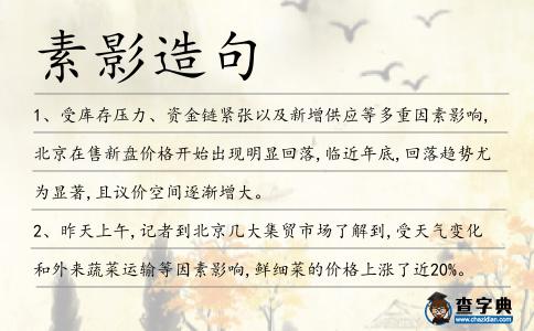 素影造句
