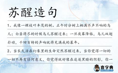 蘇醒造句