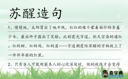 蘇醒造句