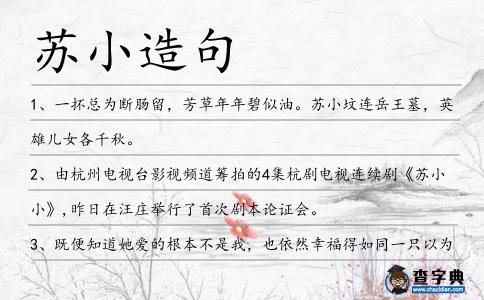 蘇小造句