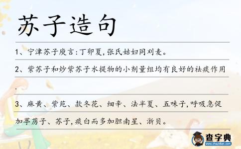 蘇子造句