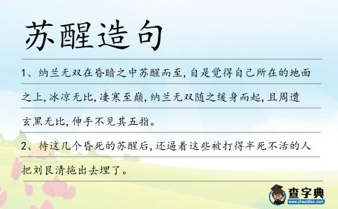 蘇醒造句