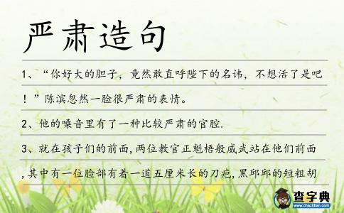 嚴肅造句