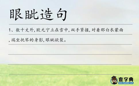 眼眥造句