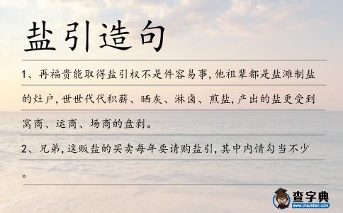 鹽引造句