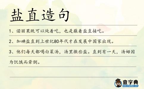 鹽直造句