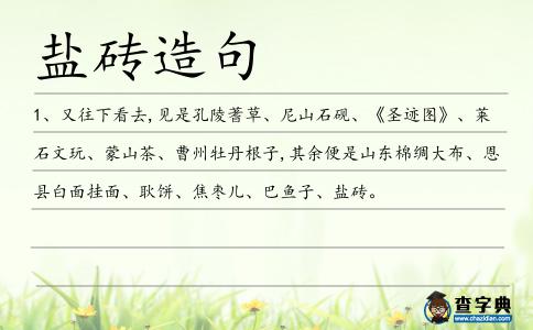 鹽磚造句