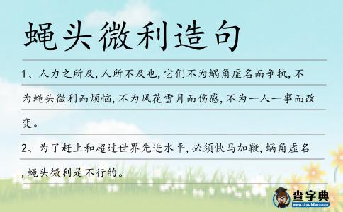 蠅頭微利造句