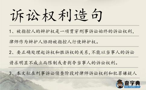 訴訟權利造句