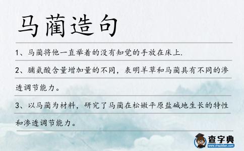 馬藺造句
