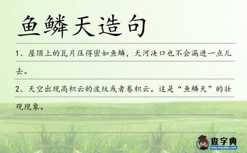 魚(yú)鱗天造句