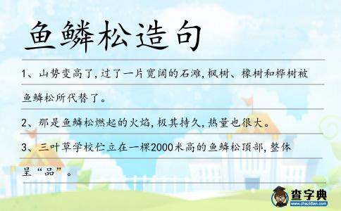 魚(yú)鱗松造句
