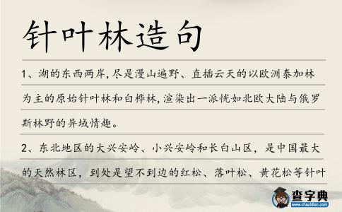 針葉林造句