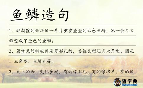 魚鱗造句