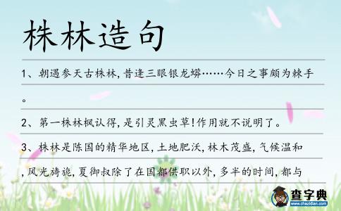 株林造句