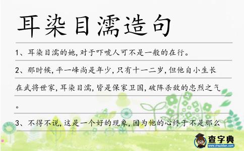 耳染目濡造句