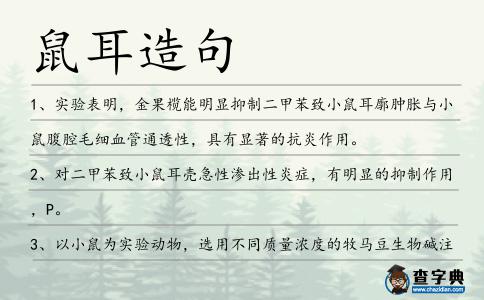 鼠耳造句