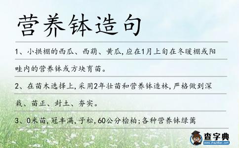 營養缽造句