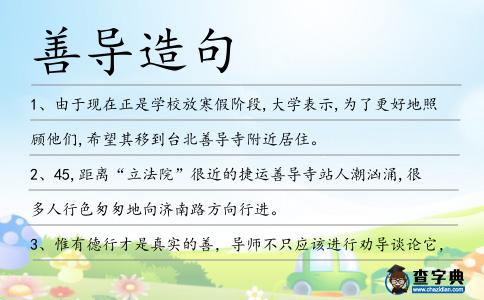 善導造句