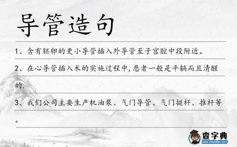 導(dǎo)管造句