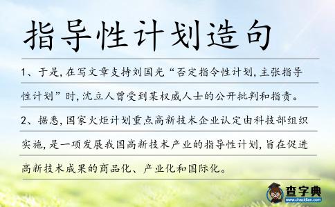 指導性計劃造句