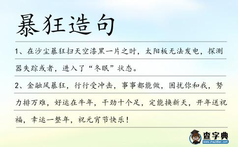 暴狂造句