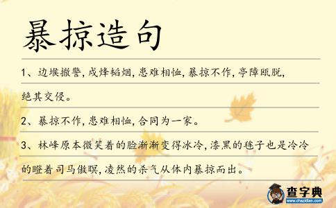 暴掠造句