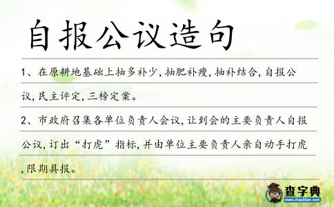 自報公議造句