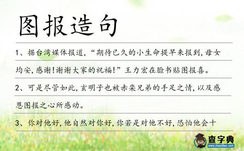 圖報造句