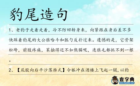豹尾造句