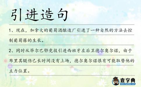引進造句