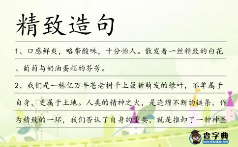 精致造句