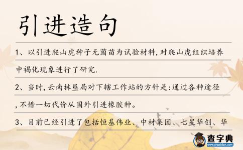 引進造句
