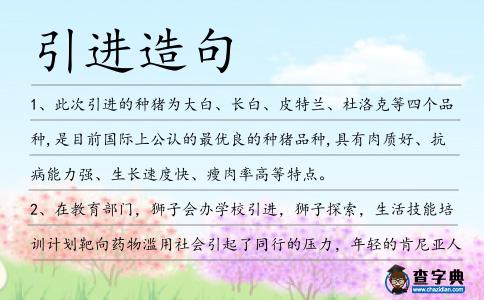 引進(jìn)造句