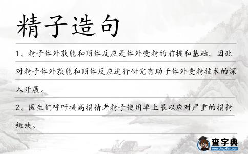 精子造句