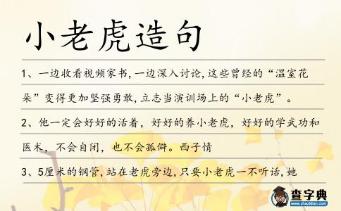 小老虎造句