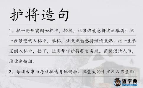 護(hù)將造句
