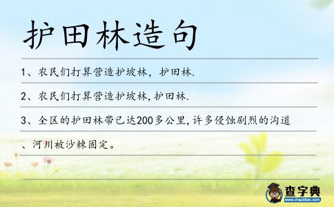 護田林造句