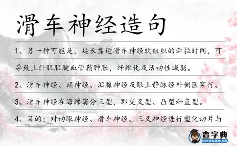 滑車神經造句